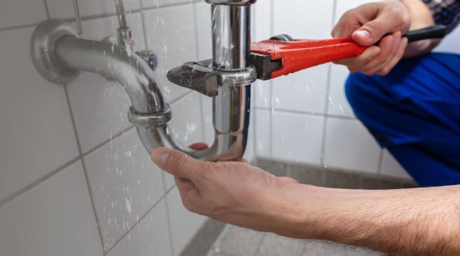 Professional Leak Detection services in Goodspring, TN